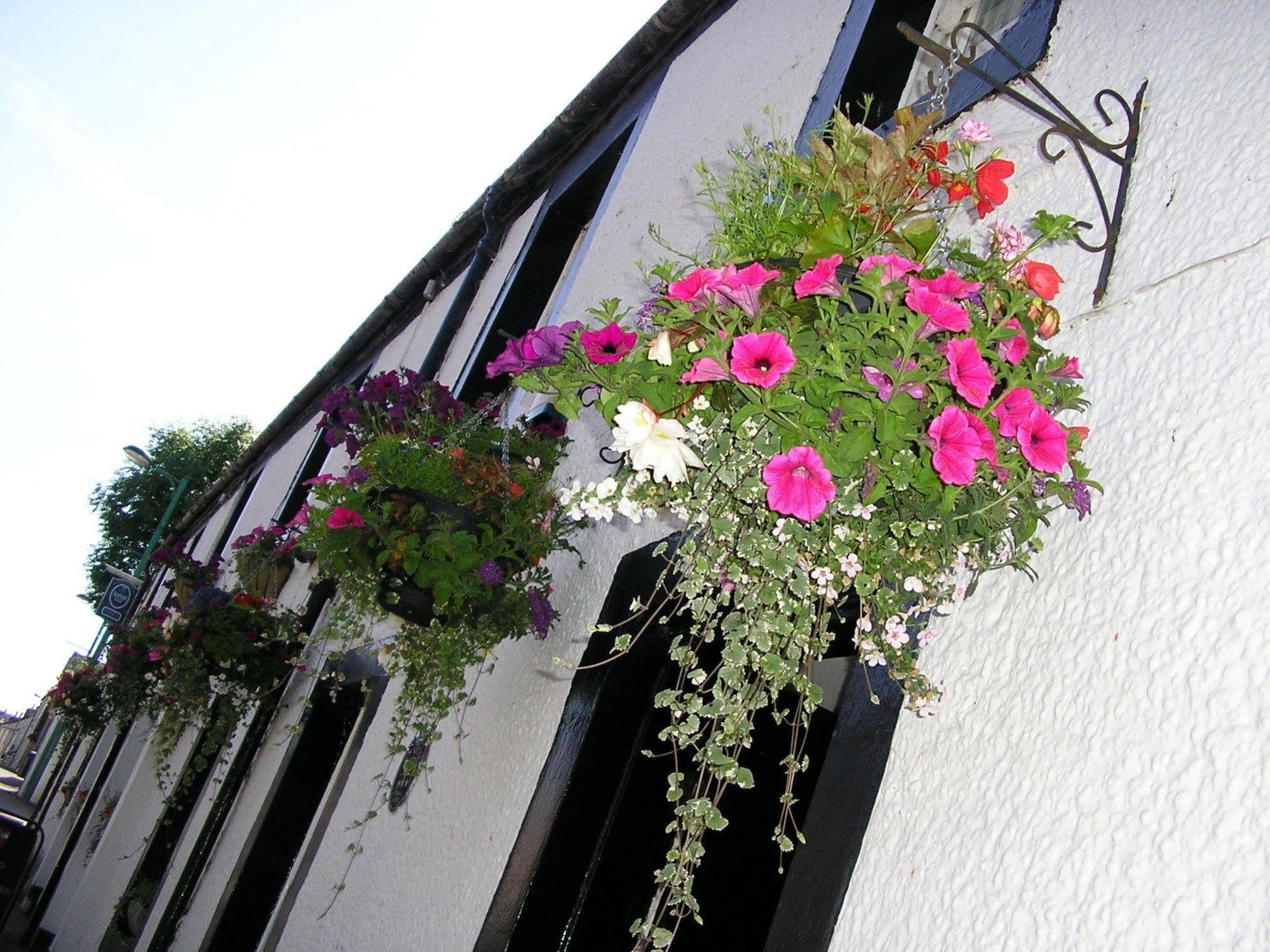 The Robertson Arms Hotel Carnwath ภายนอก รูปภาพ